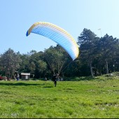 Lijak 2015