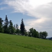 Lądowanie pod Bukowcem